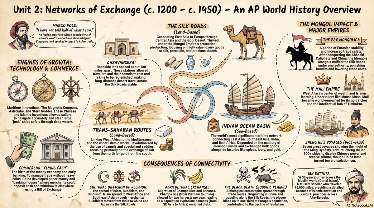 Networks of Exchange infographic — Silk Roads, Indian Ocean trade, Black Death