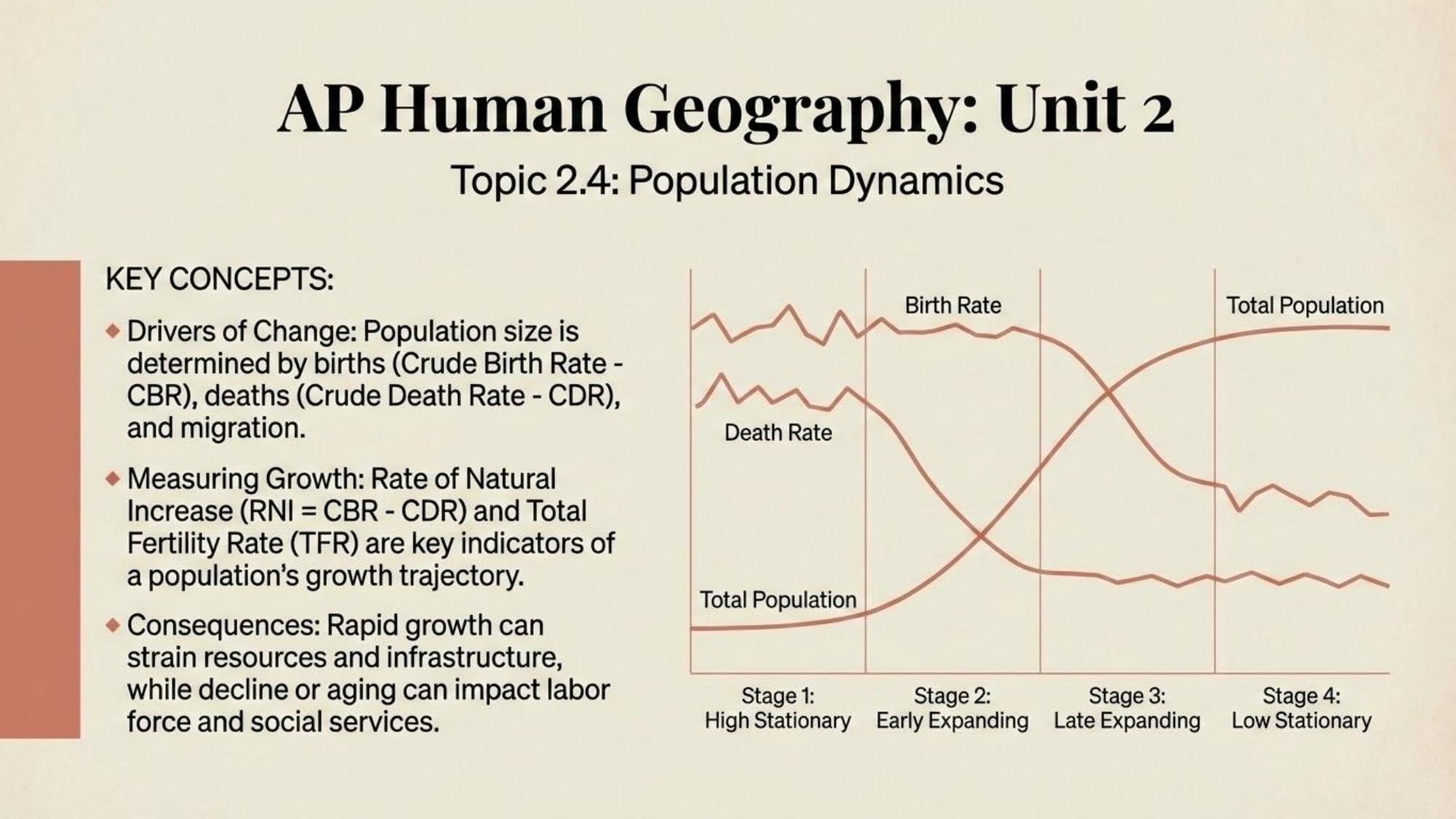 Unit visual review slide 13