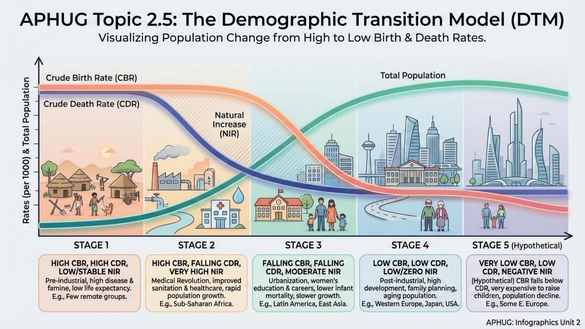 Unit visual review slide 17