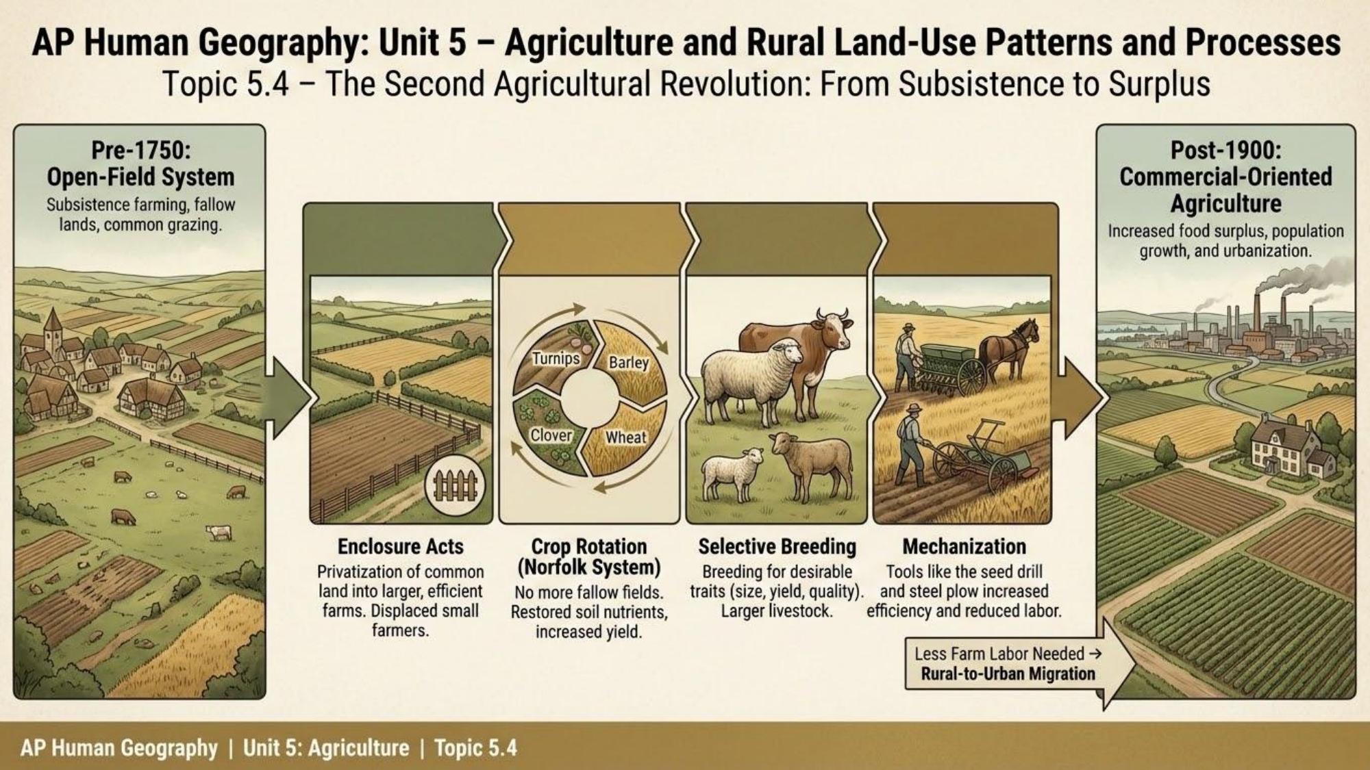 Unit visual review slide 5