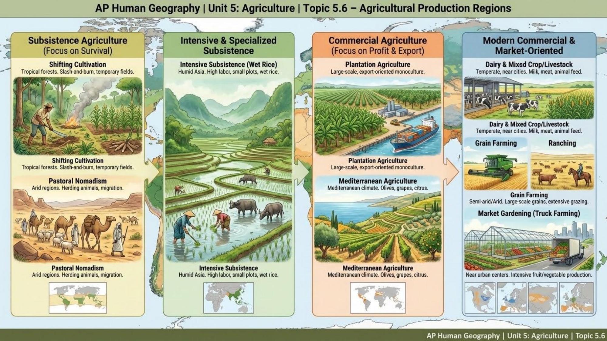 Unit visual review slide 7