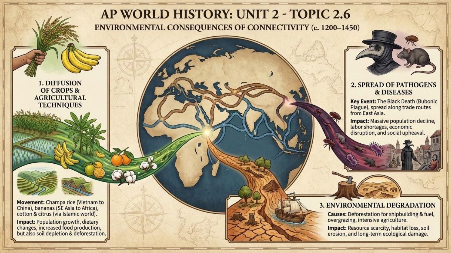 Unit visual review slide 25